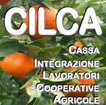 Cilcacatania.it